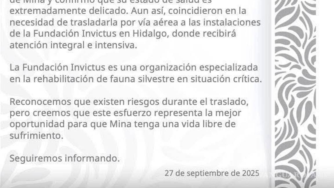 $!Profepa: Trasladan a osa ‘Mina’ a Fundación Invictus, en Hidalgo, para recibir rehabilitación