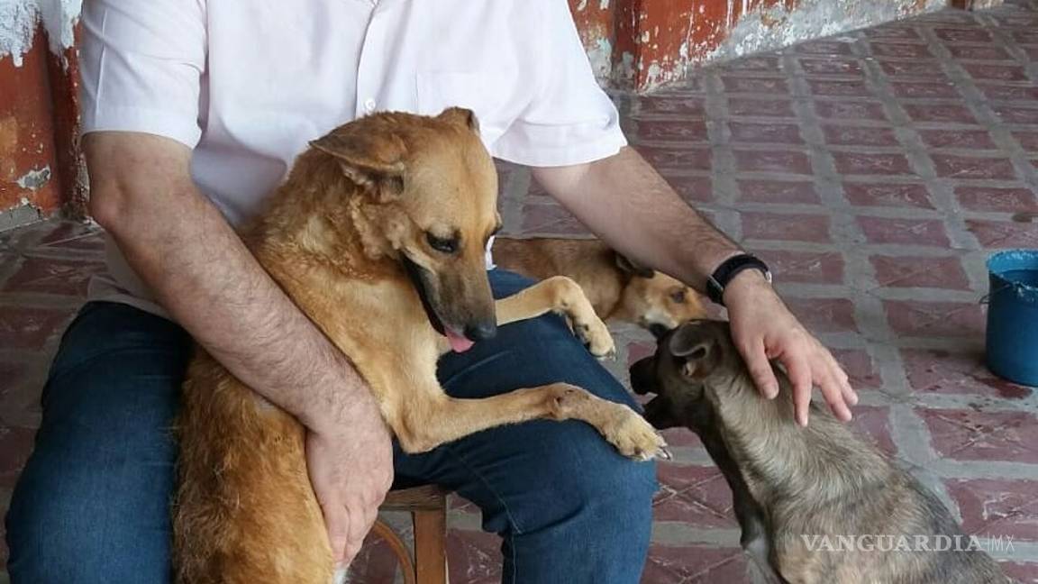 $!Sacerdote lleva perros a sus misas para que fieles los adopten; "Son de Dios"
