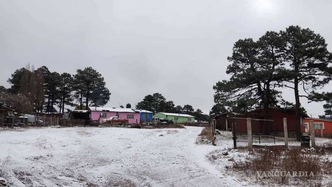 Nieve llegó a Chihuahua y Durango, tormenta invernal afecta territorios altos (fotos)
