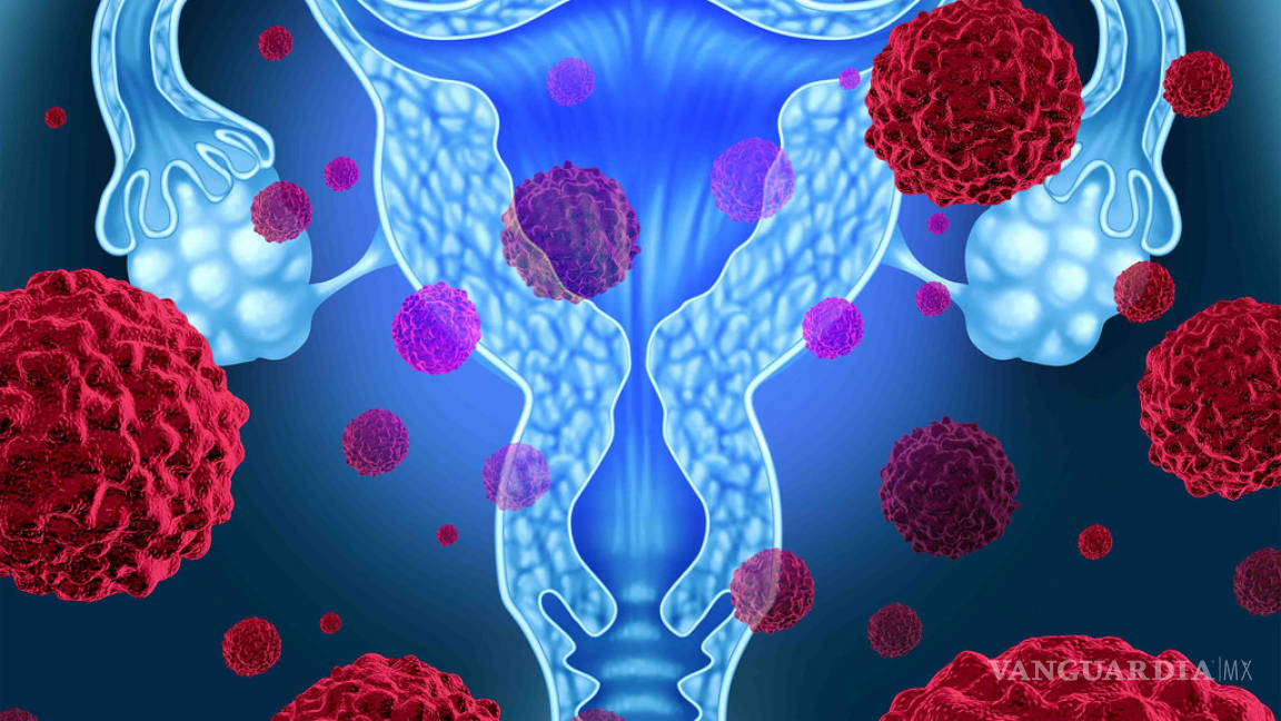 Desarrollan estrategia molecular para controlar cáncer cervicouterino