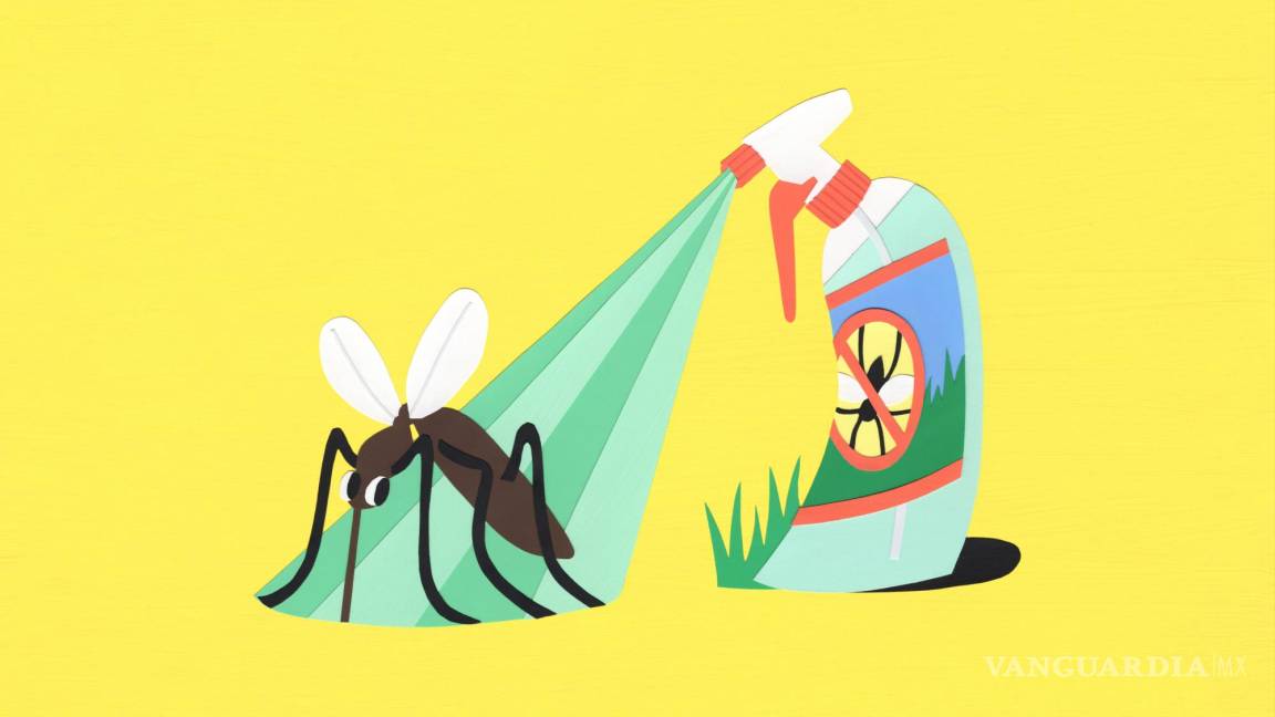 ¿Cómo puedes controlar los mosquitos y plagas del jardín sin dañar el ambiente?