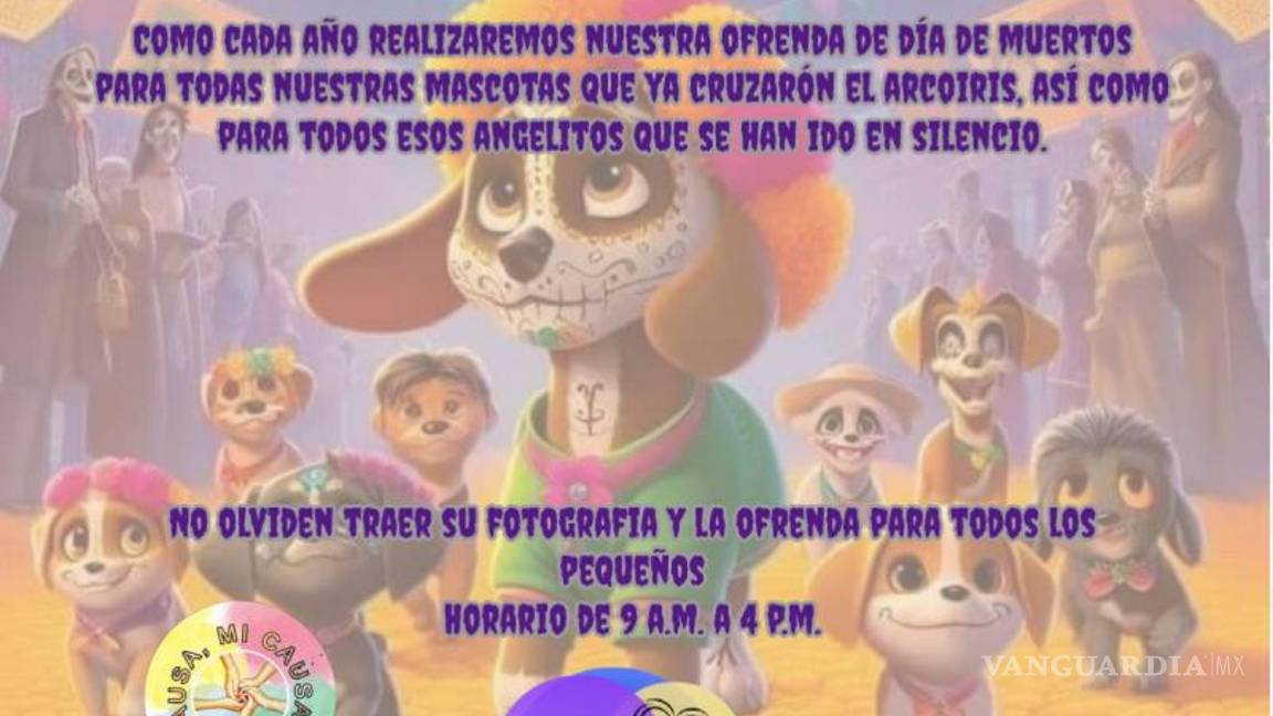 $!Integrantes de Corazón Patitas invitan a la ciudadanía a participar en el Michi-Fest 2025, evento dedicado al bienestar y respeto hacia los gatos.
