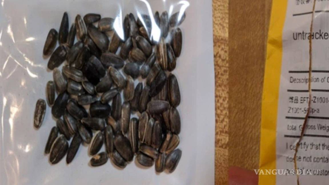 ¡Alerta!... Misteriosos paquetes con semillas chinas llegan a hogares de EU sin ser solicitados