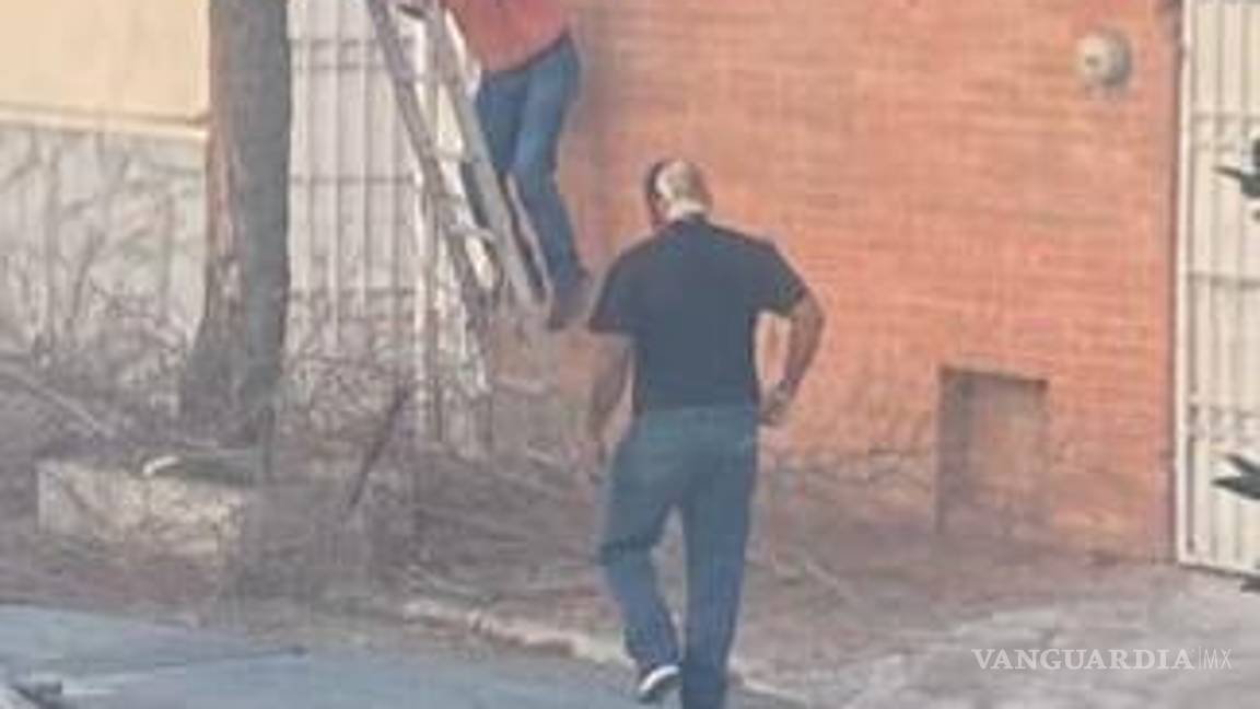 $!La asociación Saltillo Verde ha invitado a la comunidad a ser vigilante y denunciar cualquier actividad que afecte la flora urbana, como la tala ilegal de árboles en espacios públicos.