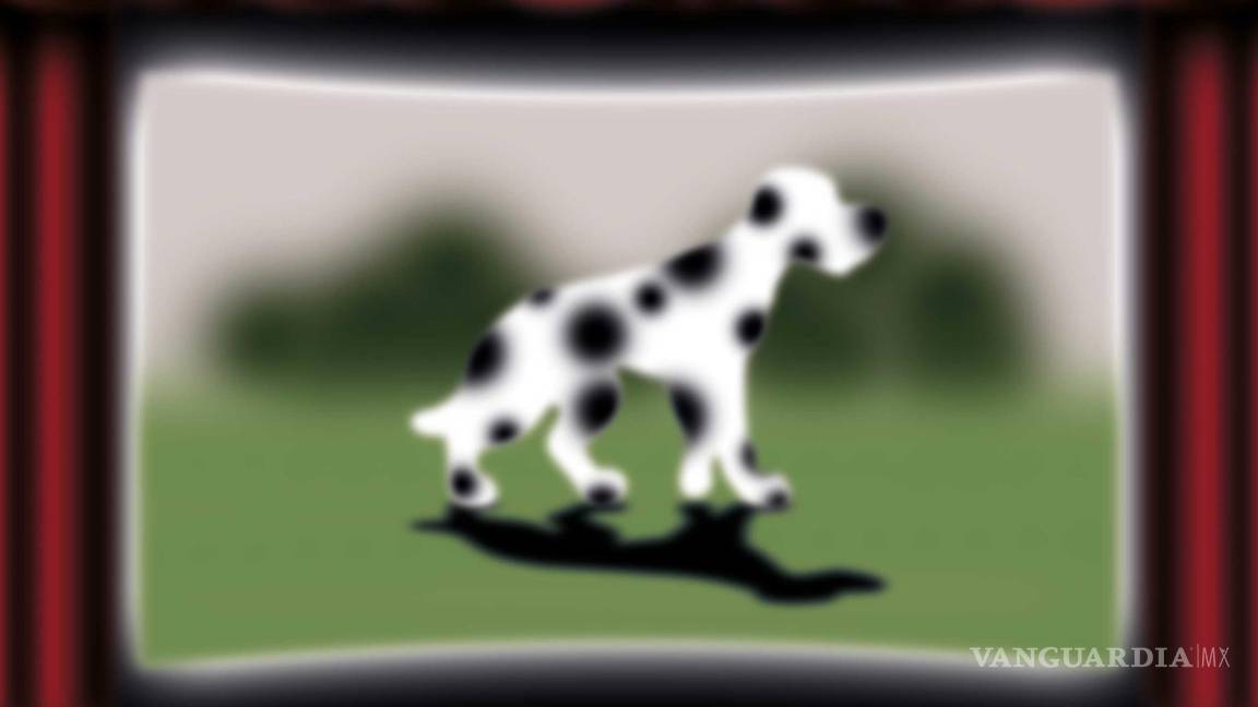 Opinión: Lo que las películas me enseñaron a ver