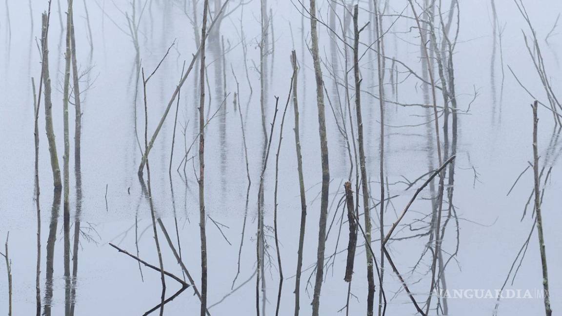 $!Lo mejor del metal extremo (y más) en el 2021