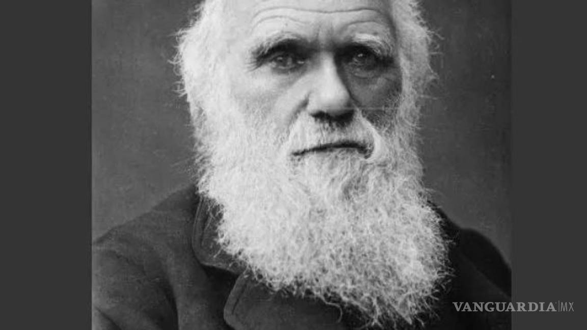 $!Tu jugo del día: 'Apaga' detención de líder religiosoa la 'Luz del Mundo'