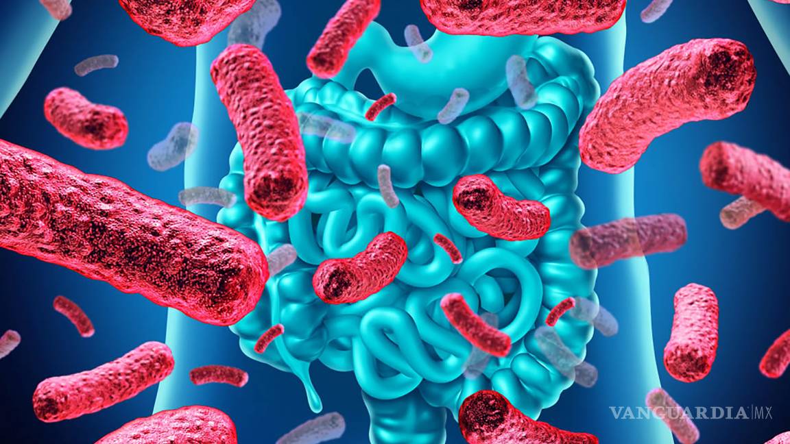 $!Científicos mexicanos estudian en menores obesos el efecto de la fibra en el equilibrio de glucosa