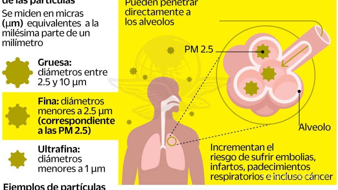 Partículas Pm2 5 ¿qué Son Y Porqué Activaron La Contingencia Ambiental