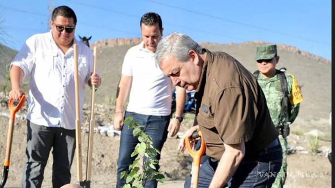 Reforestan camellones de principales vialidades de Saltillo