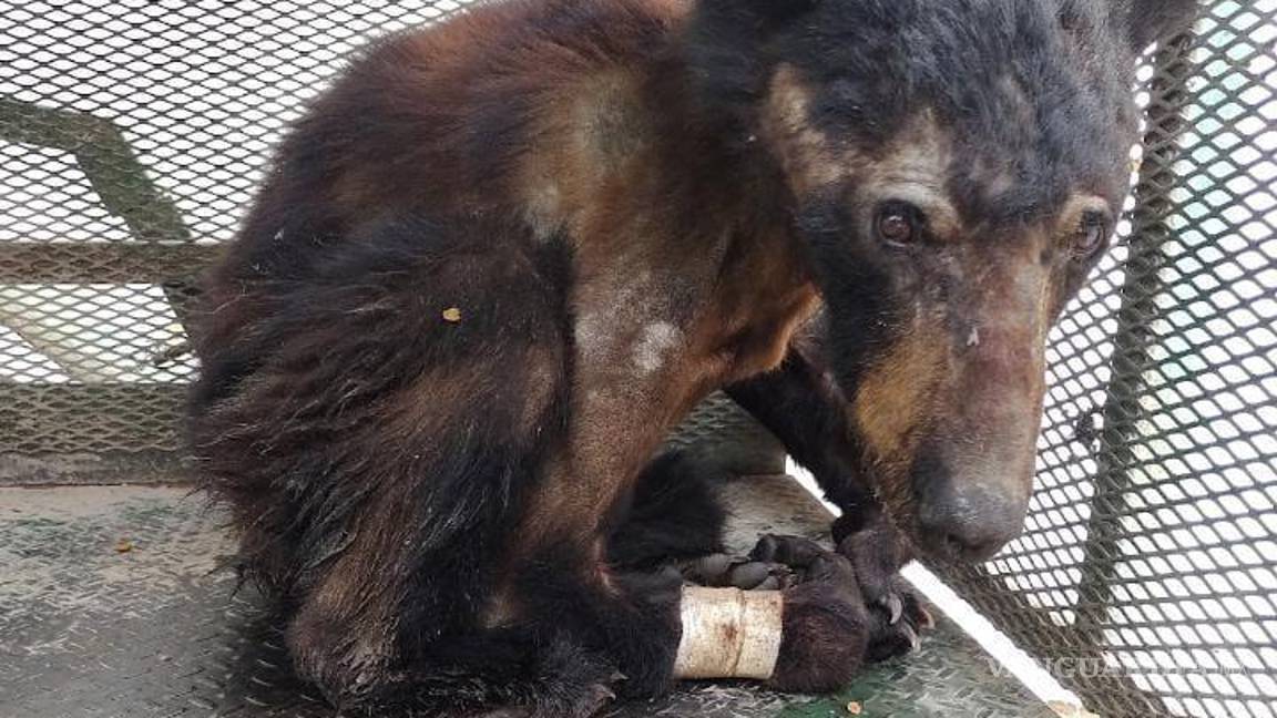 $!“Lucy” fue liberada luego de mes y medio de su rescate.