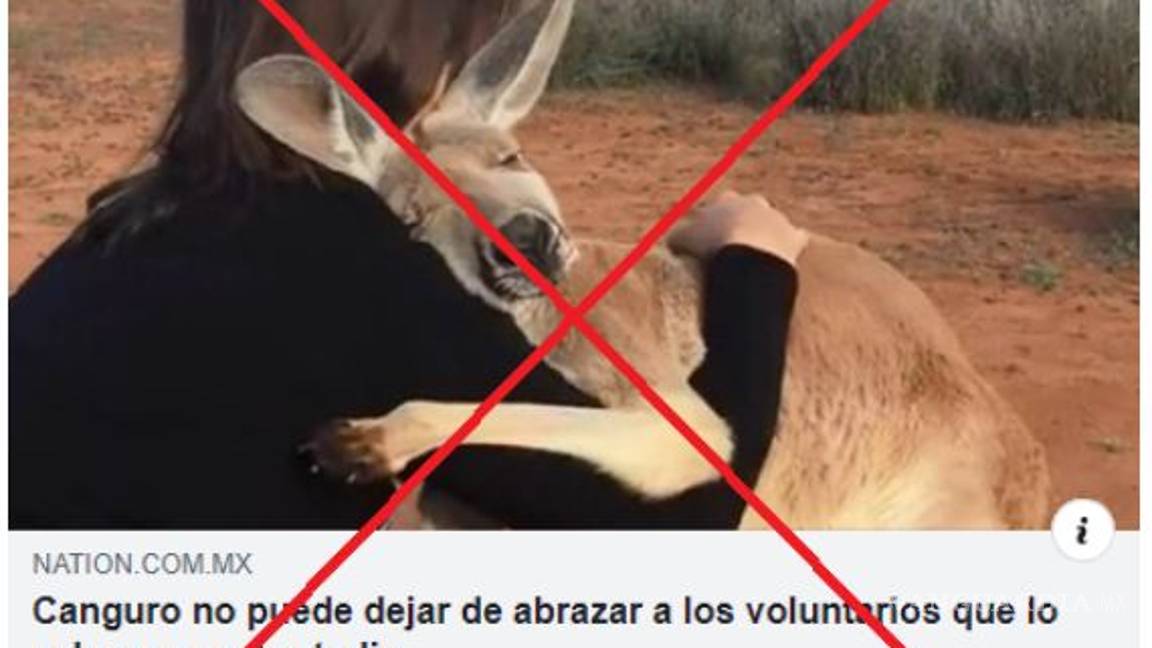 $!Estas son las fotografías falsas sobre los incendios en Australia