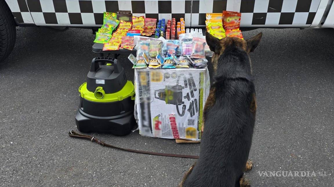 Decomisan en Zacatecas frituras y gomitas hechas a base de mariguana