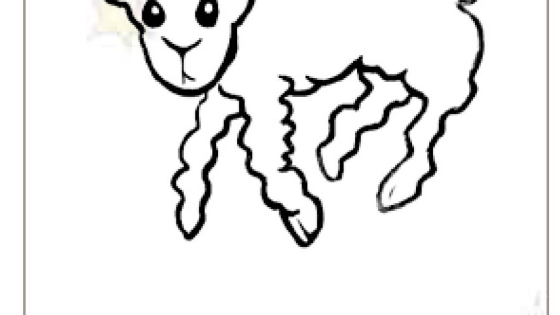 $!A 75 años de la publicación de 'El Principito', pedimos a lectores y colaboradores: 'Por favor... dibújame un cordero!