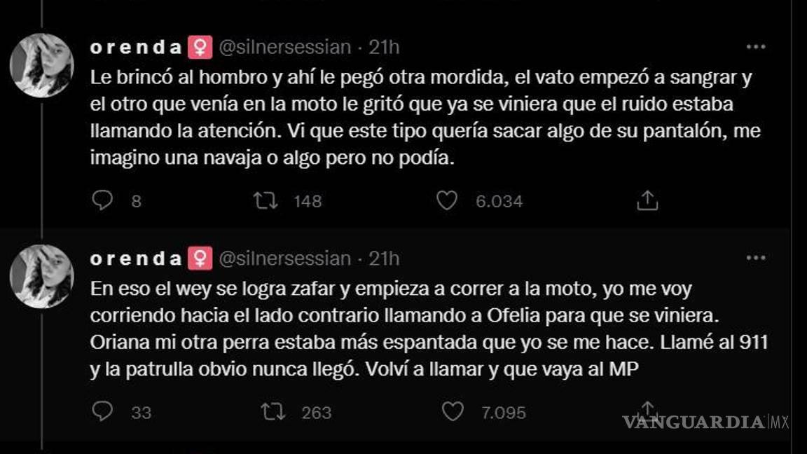 $!Ella es Ofelia, la perrita que salvó a su dueña de un asalto en la CDMX