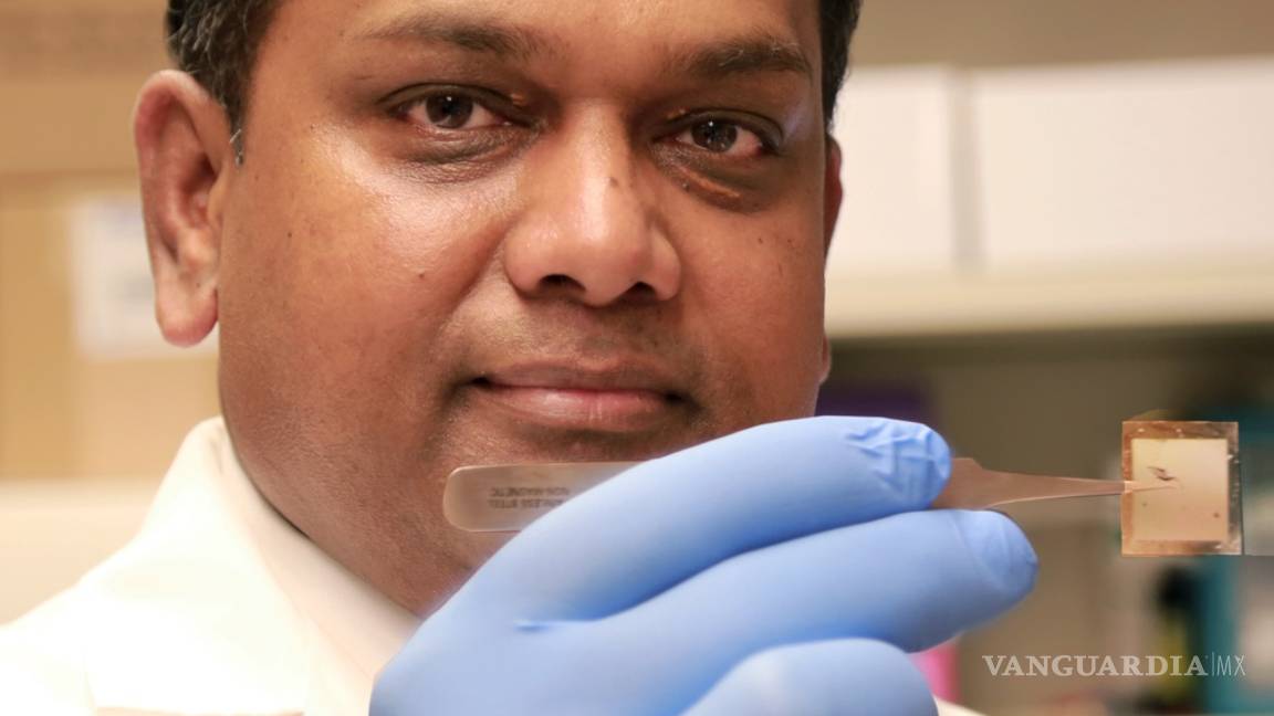 $!Chip regenerativo, revoluciona la medicina