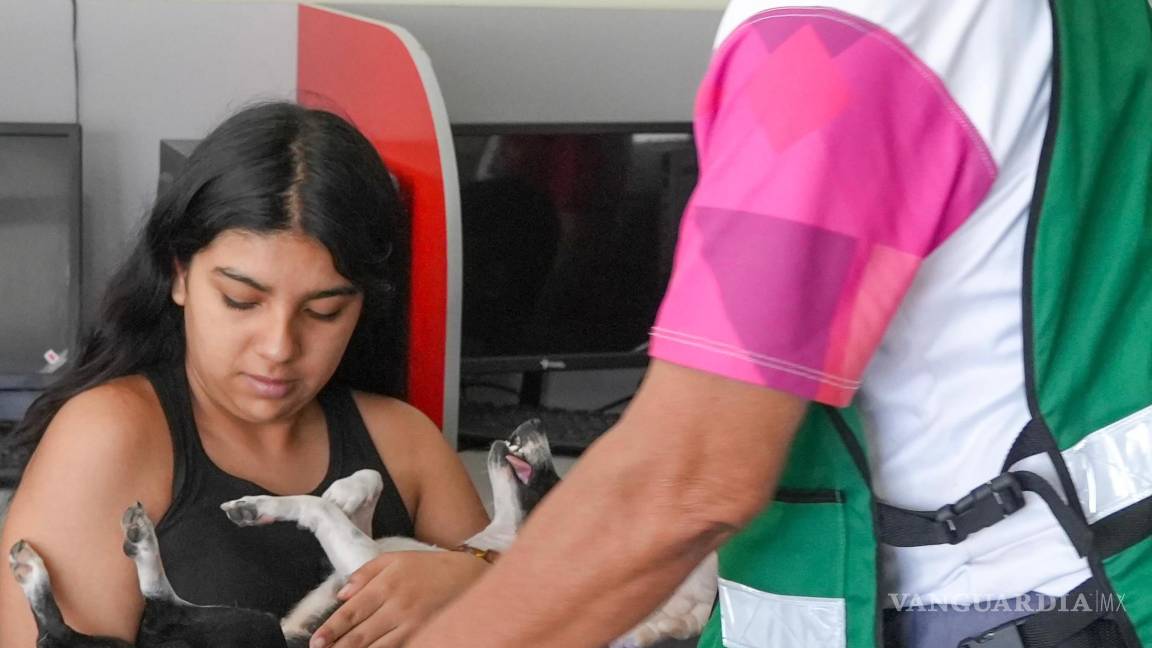 $!Perros y gatos han recibido vacunas antirrábicas, desparasitaciones y esterilizaciones de forma segura y gratuita.