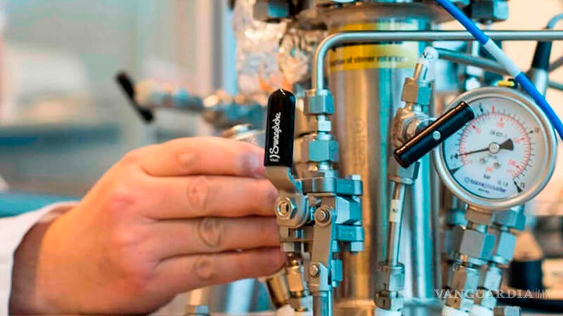 $!Llega el plástico vegetal que permitirá fabricar envases que se degradarán en tan solo un año