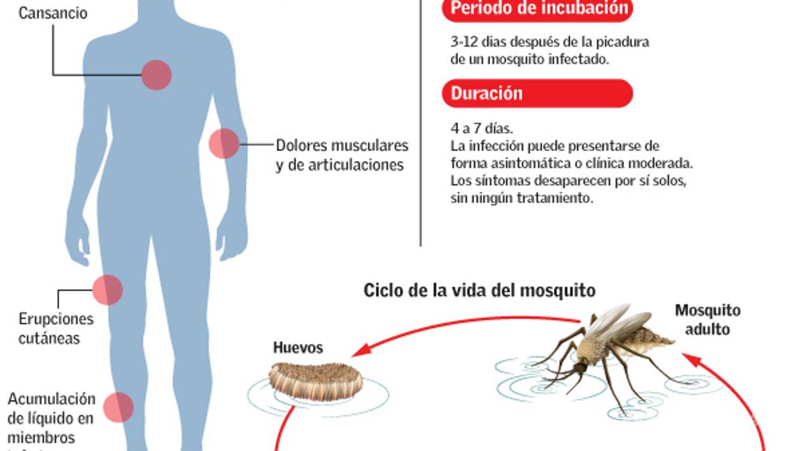 $!El zika se volverá endémico en América Latina: científicos