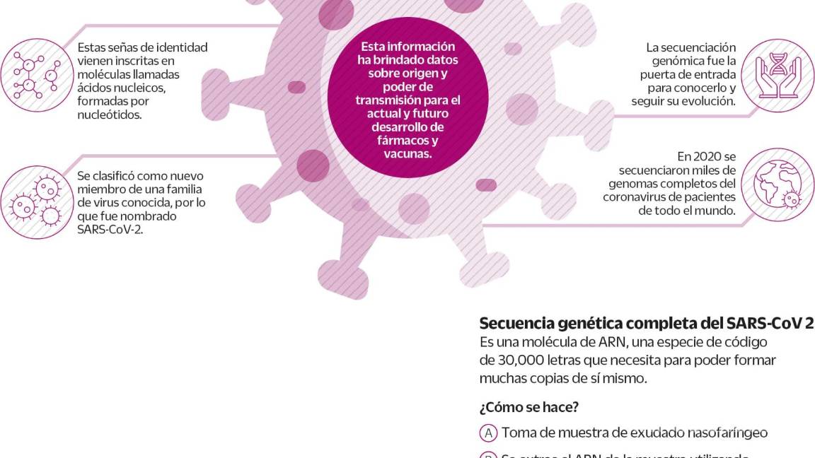 $!2020: un recorrido científico marcado por el COVID-19, el año de la pesadilla sanitaria
