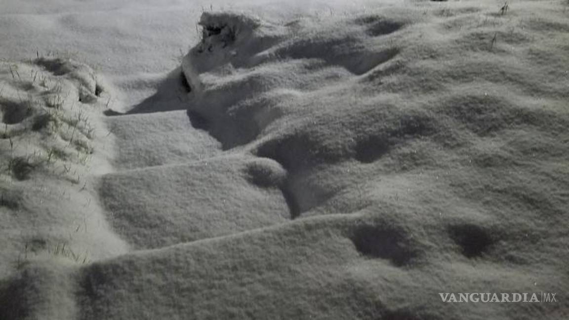 $!Nevada y formación de hielo cubrieron vialidades y áreas abiertas en el norte de Coahuila, generando condiciones de riesgo que obligaron al cierre preventivo de carreteras.