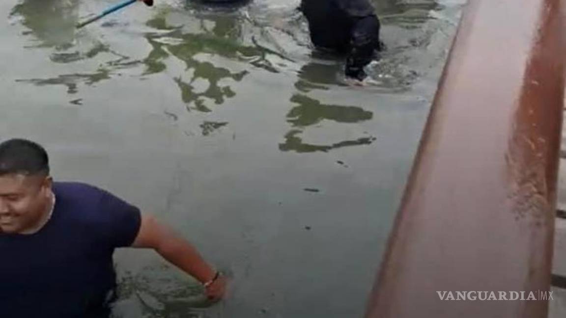 $!Ya ubicado, lo que seguía era atrapar a “Coco”, y no hubo mayores problemas.