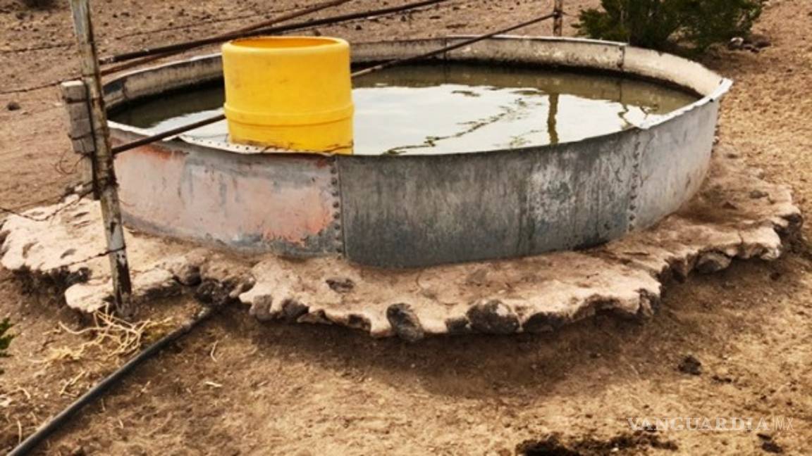 $!Asegura Chihuahua ‘mega rancho’ de 30 mil hectáreas a César Duarte