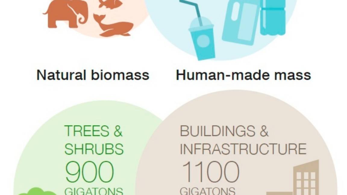 $!En el 2021 habrá mas edificios que árboles, según el Instituto Weizmann de Ciencias