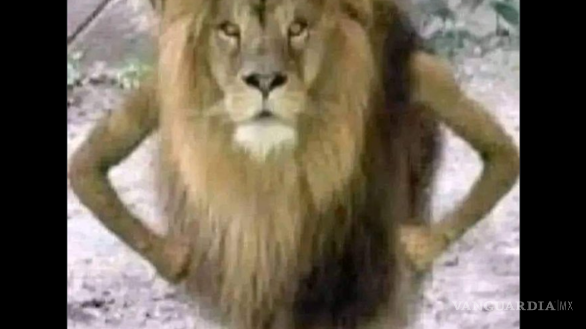 $!Cinemex cambia de imagen y desata ola de reacciones: estos son los mejores memes sobre el nuevo logo