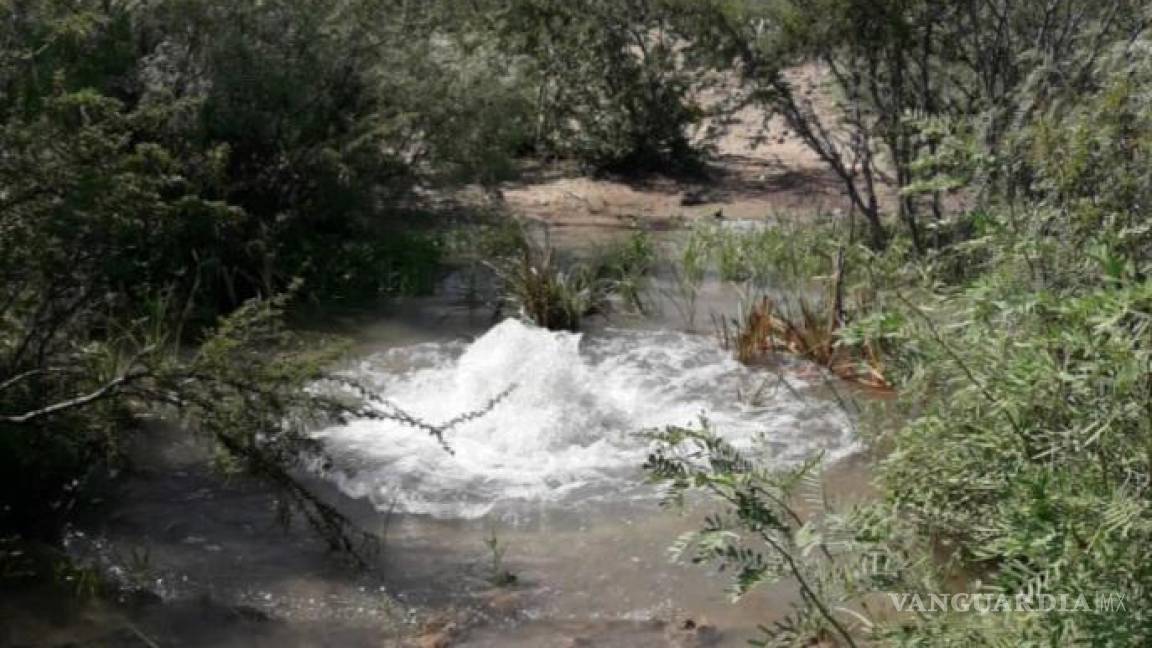 A mayoría en Congreso de Coahuila no le interesa huachicoleo del agua, dice diputada Yolanda Elizondo