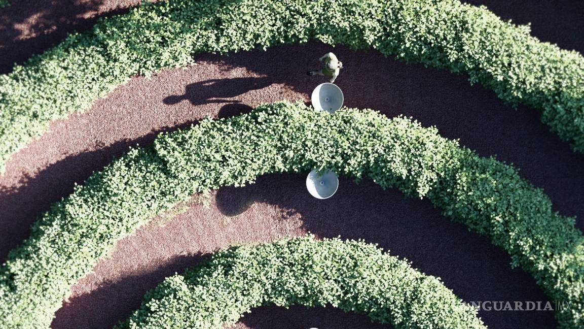 $!“Park de la Distance”, un parque de la nueva normalidad a prueba de contagios de COVID-19