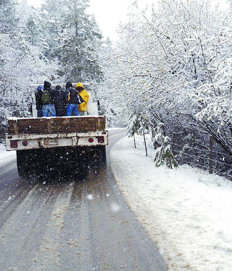 $!Llegarían a 30 mdp pérdidas por nevada para manzaneros de Arteaga