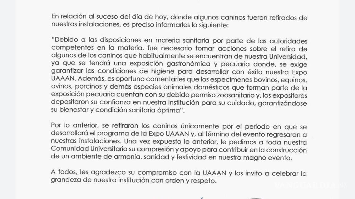$!‘Será temporal retiro de perritos que habitan en terrenos de la UAAAN’, asegura el rector Mario Vázquez