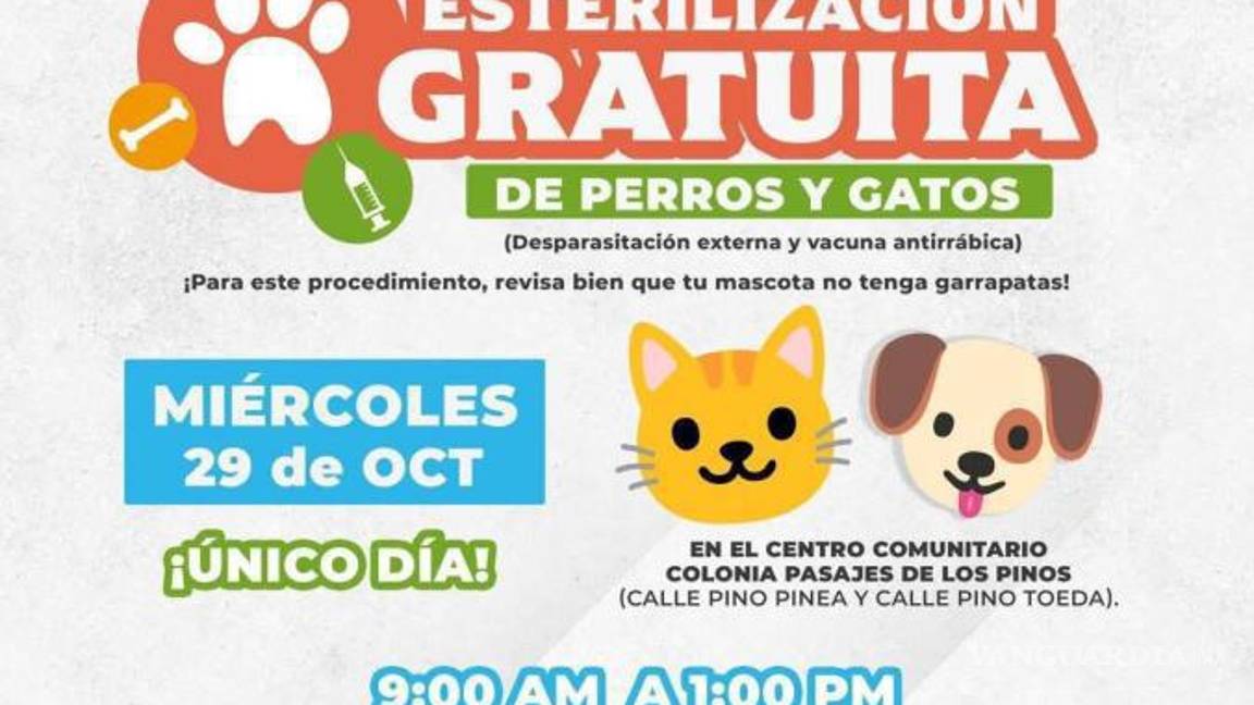 $!La campaña gratuita se llevará a cabo en el Centro Comunitario de la colonia Parajes de los Pinos.