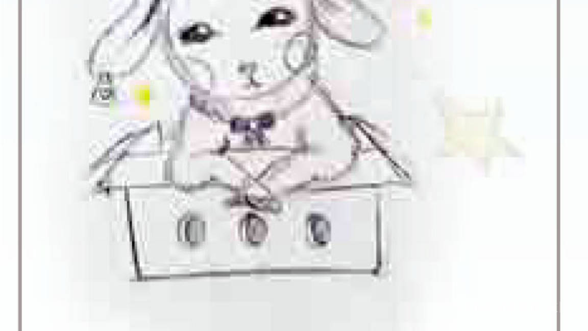 $!A 75 años de la publicación de 'El Principito', pedimos a lectores y colaboradores: 'Por favor... dibújame un cordero!