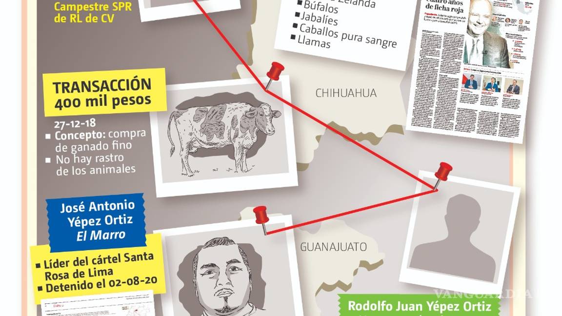 $!Con ganado fino, clanes de ‘El Marro’ y César Duarte lavaban dinero