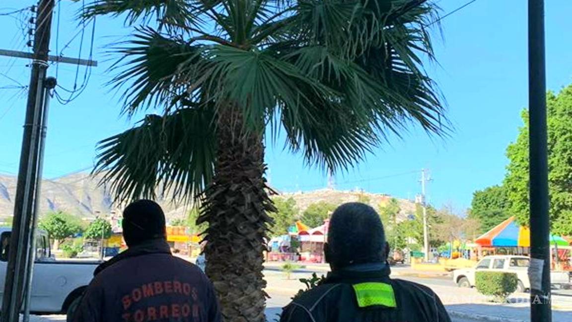 $!Bomberos rescatan una Lechuza Campanario frente a la alameda de Torreón