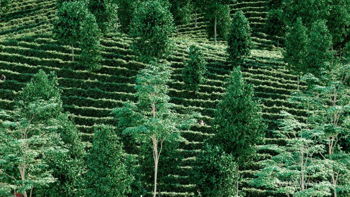 $!“Park de la Distance”, un parque de la nueva normalidad a prueba de contagios de COVID-19