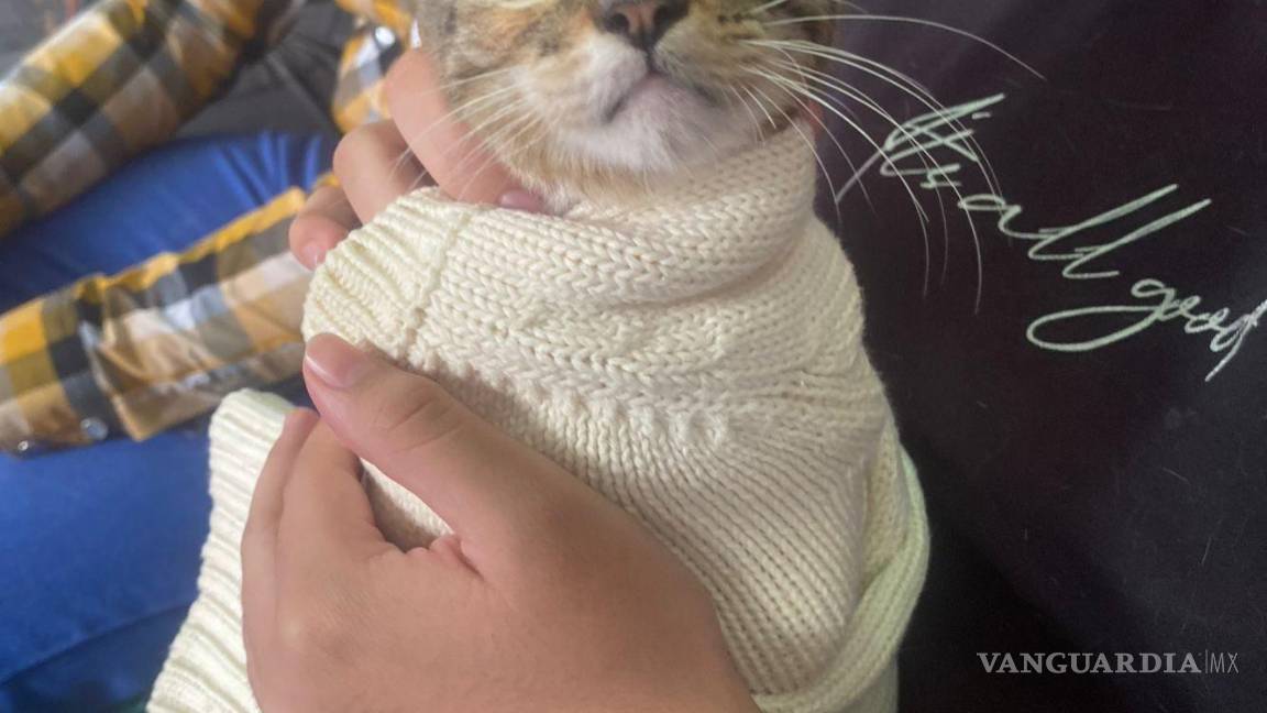 $!Autoridades municipales reafirmaron su compromiso con el bienestar animal y la tenencia responsable.