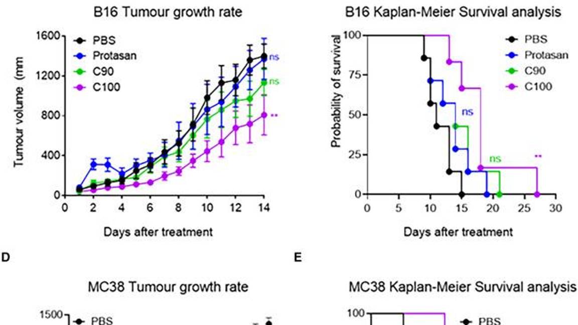 $!El C100 mejora significativamente la supervivencia de ratones portadores de carcinoma de colon MC38 o melanoma B16.