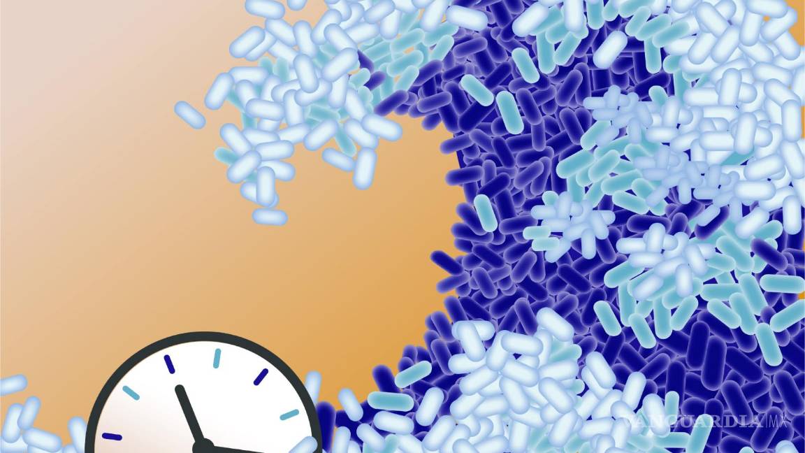 $!Representación artística del desarrollo de comunidades de organismos unicelulares.