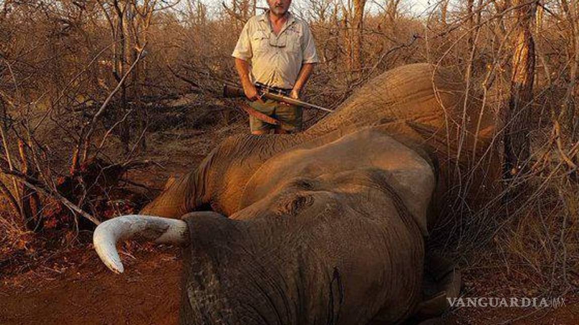 $!Cazador fue asesinado de un tiro en Sudáfrica; en redes lo celebran