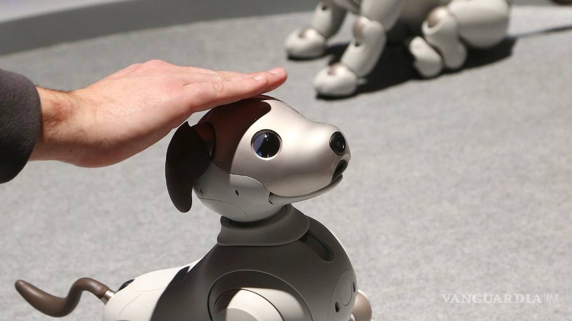 $!CES 2019, muestra las innovaciones tecnológicas que nos harán la vida más sencilla (fotogalería)