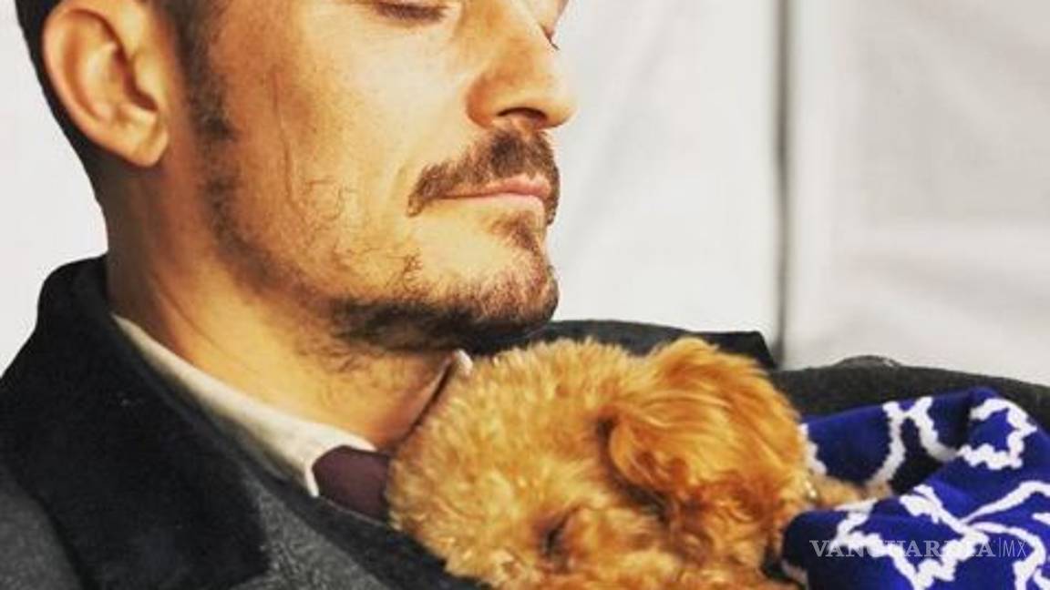 $!Tras buscarlo por siete días, Orlando Bloom declara que su perro Mighty falleció