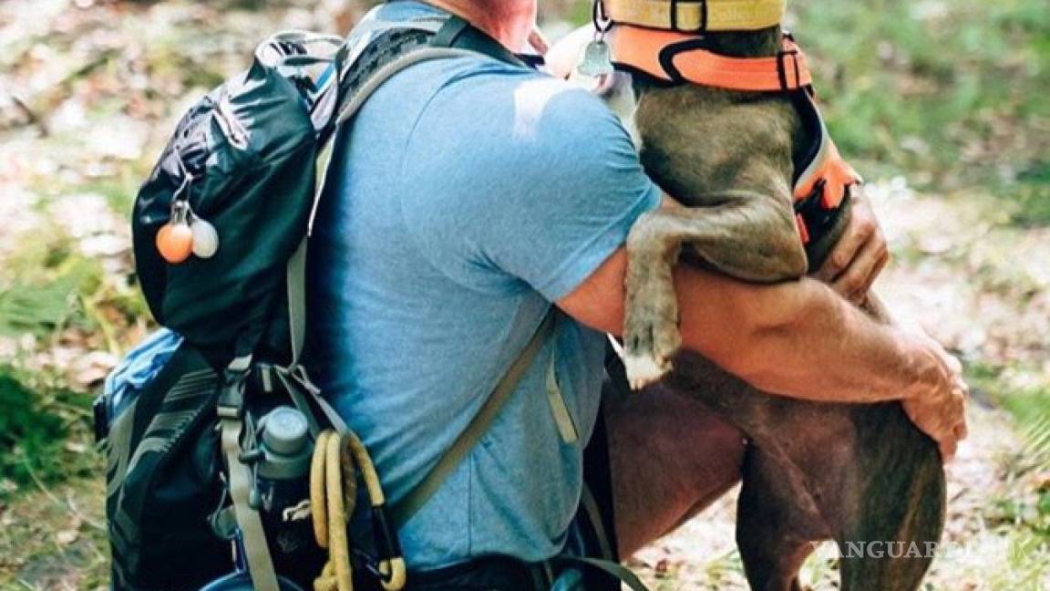 Un alcohólico y una pitbull: juntos salvaron sus vidas