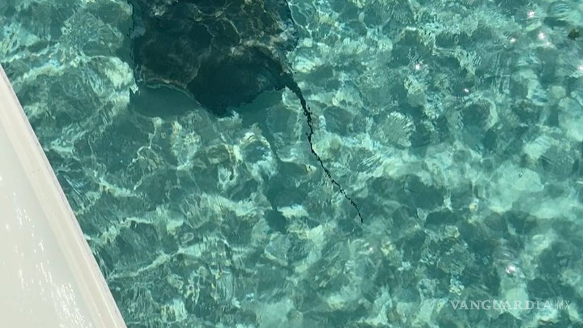 $!Camila Sodi se relajó en reserva natural, pero sin permiso