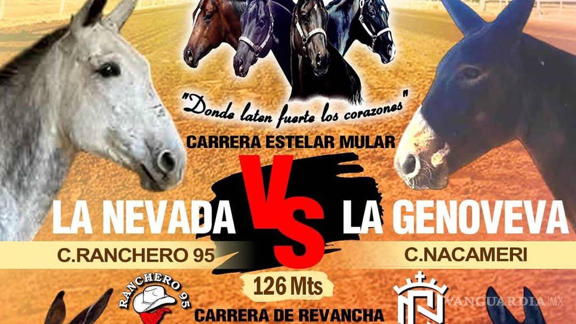 $!Reportan desaparición de ‘Ranchero 95’, influencer cercano a Markitos Toys y Kevin Castro, en Sonora