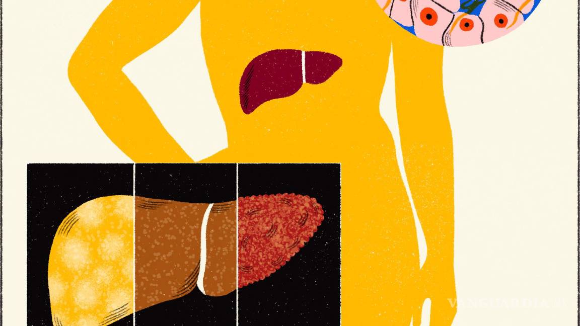 $!Su impacto en el cuerpo va mucho más allá del momento de relajación o euforia que puede provocar.