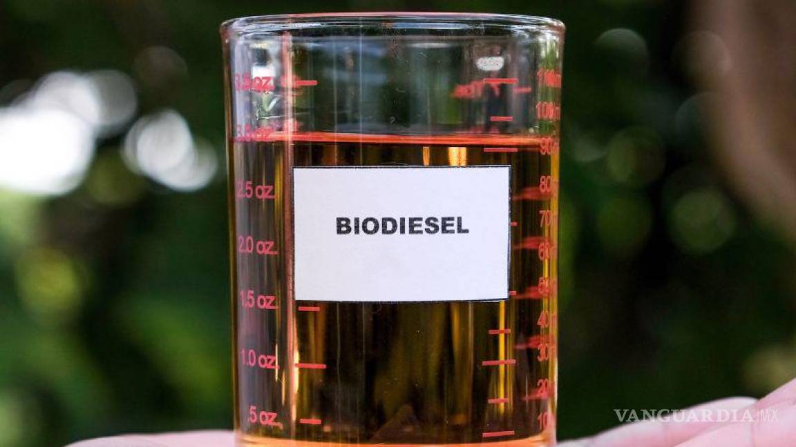 Biodiésel, sin mercado en Coahuila... aunque la UAdeC y la Narro han hecho investigación