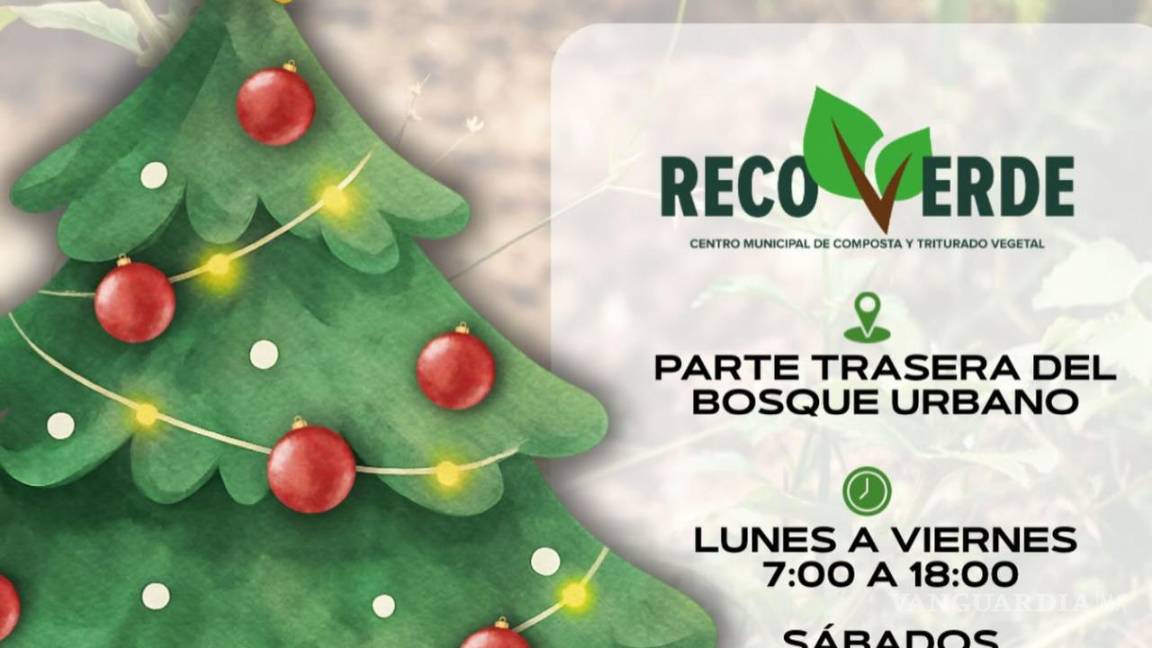 $!El acolchado vegetal obtenido de los pinos ayuda a mejorar parques y camellones de la ciudad.